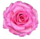 fOCUjHGhiBYK (128x124, 26Kb)